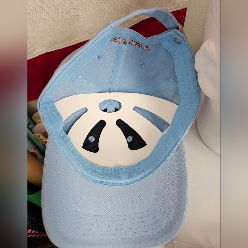 Fruit Riot Ballcap New Blue - Picture 4 of 4